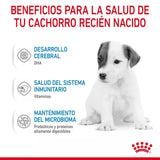 Royal Canin Baby Dog Leche Perro 400G