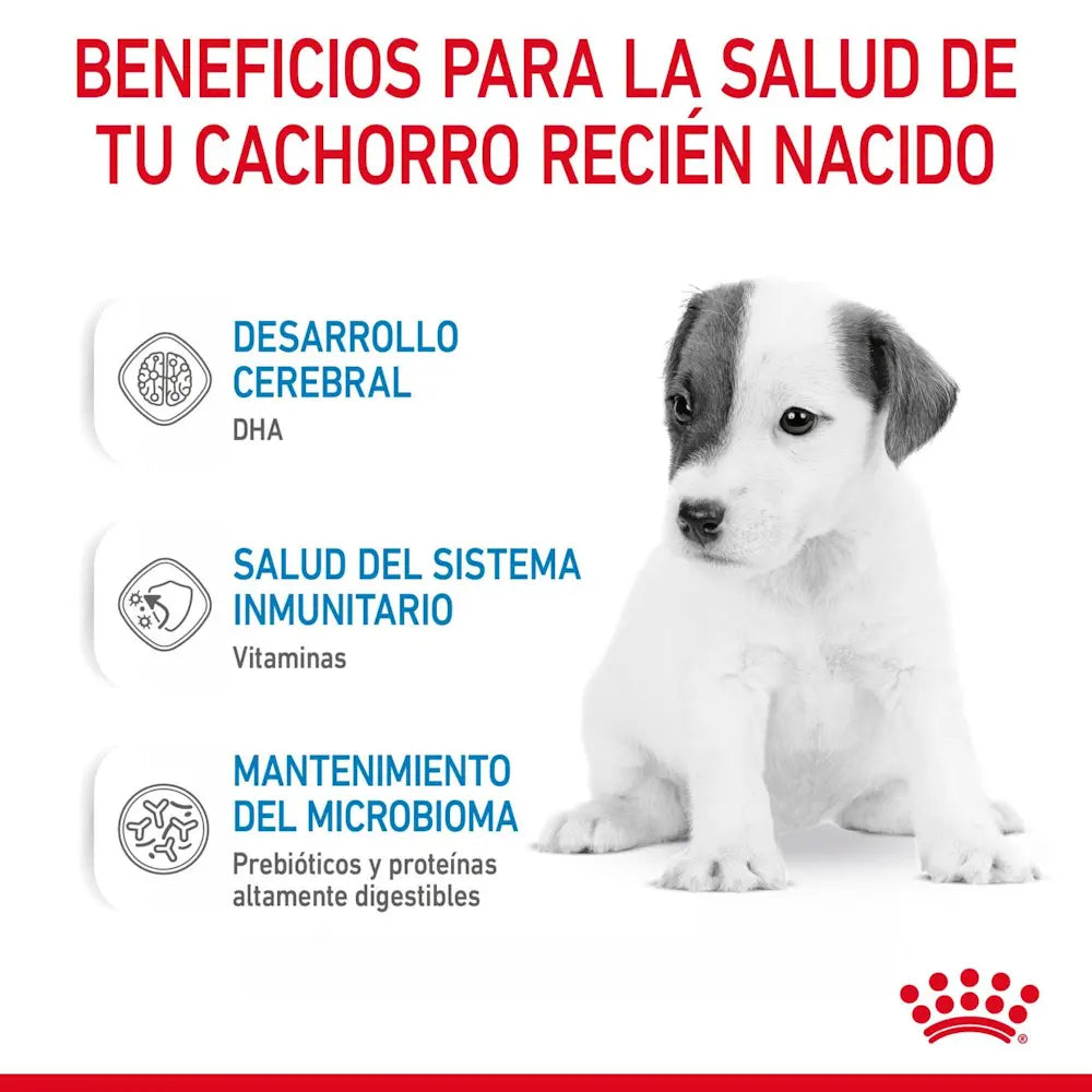 Royal Canin Baby Dog Leche Perro 400G