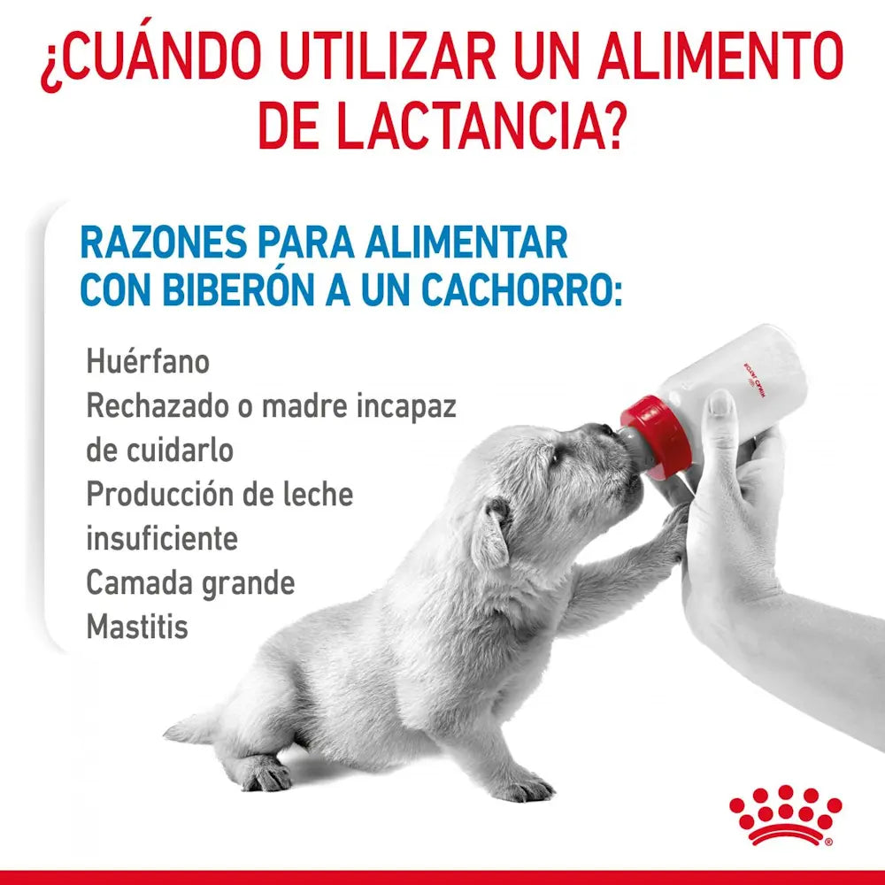 Royal Canin Baby Dog Leche Perro 400G