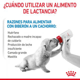 Royal Canin Baby Dog Leche Perro 400G