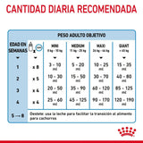 Royal Canin Baby Dog Leche Perro 400G