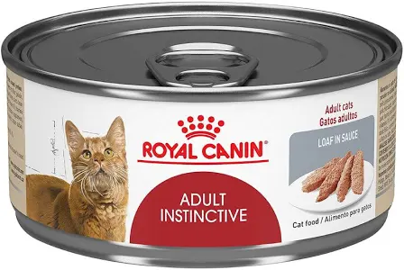 Royal Canin Adult Instinctive Gato Lata 145gr