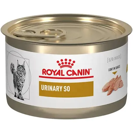 Royal Canin Urinary S/O Gato Lata 145gr