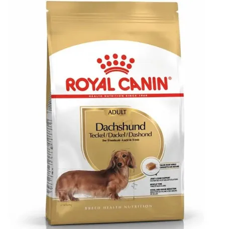 Royal Canin Dachshund Adulto Perro 2.5KG