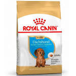 Royal Canin Dachshund Puppy Cachorro 2.5KG