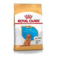 Royal Canin Poodle Puppy Cachorro 3KG