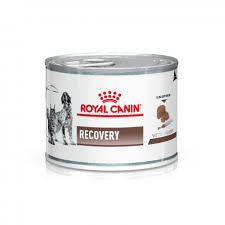 Royal Canin Recovery Perro/Gato Lata 145gr