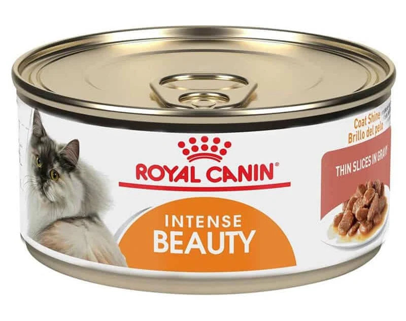Royal Canin Intense Beauty Gato Lata