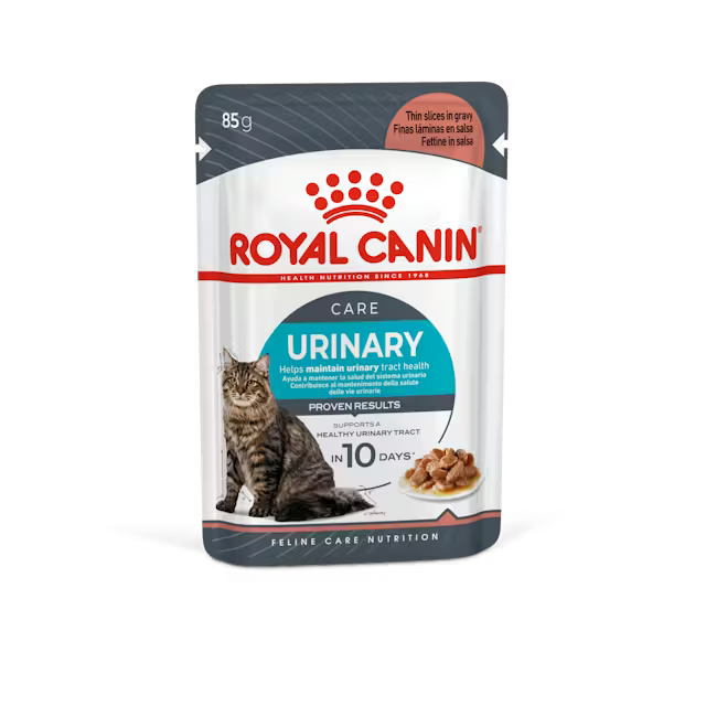 Royal Canin Urinary Care Húmedo Gato