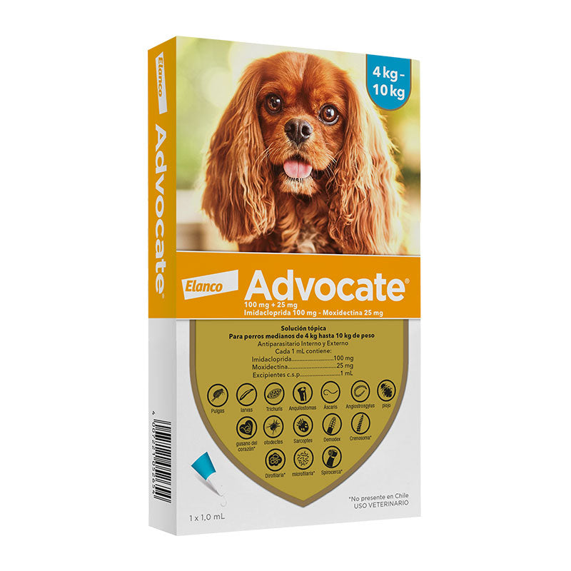 Advocate perro 4-10KG