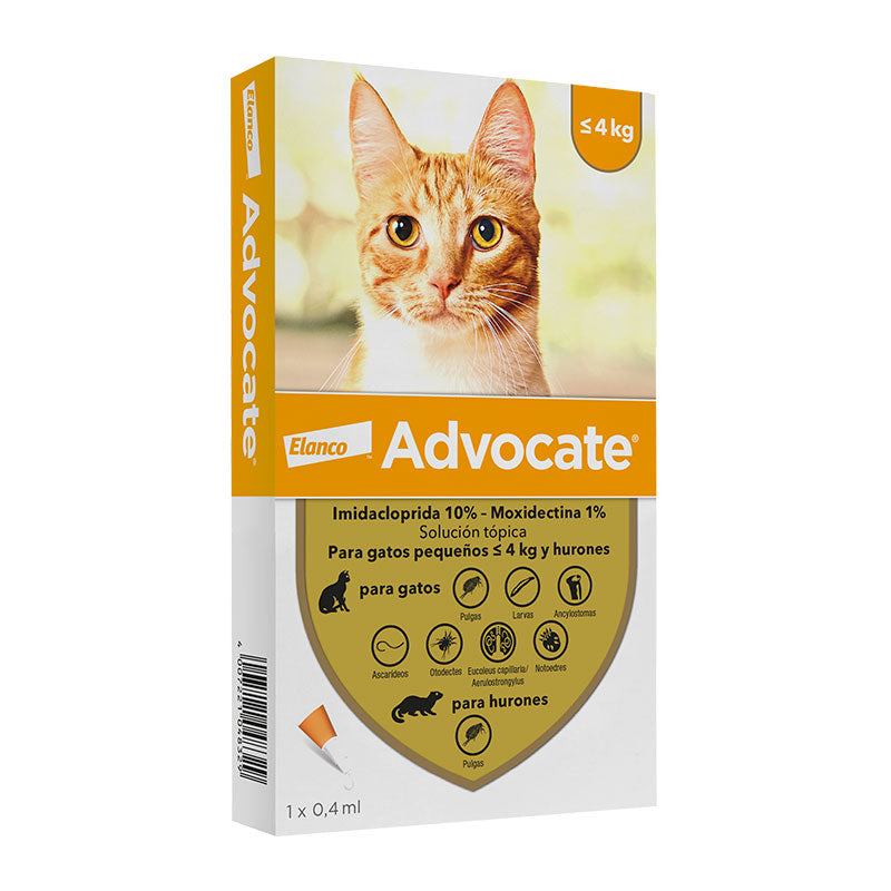 Advocate gato hasta 4kg