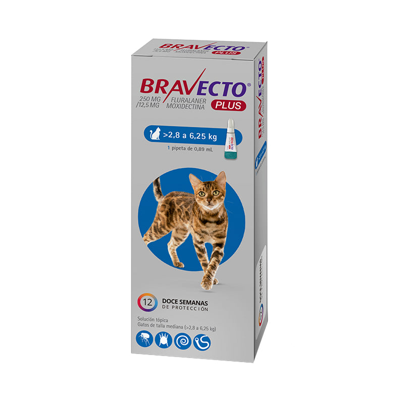 Bravecto Plus Pipeta Antiparasitaria Gatos 2,8 a 6,25 kg