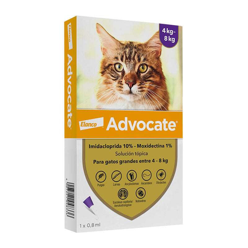 Advocate gato 4 a 8 kg